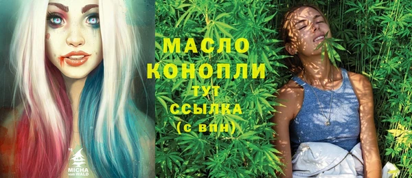 гашик Верхний Тагил