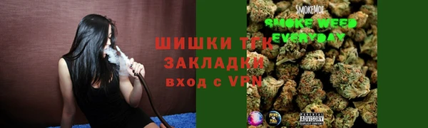 наркотики Бородино