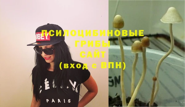 наркотики Бородино