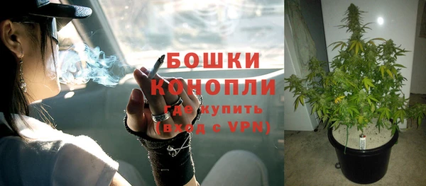 наркотики Бородино